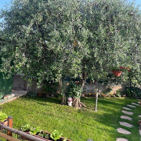 Casa Vacanze Collina Del Lago Pastrengo Luaran gambar